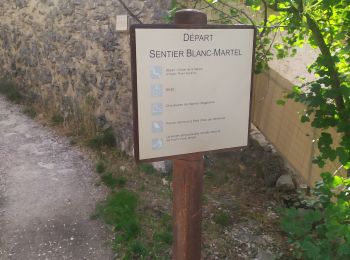 Tour Wandern La Palud-sur-Verdon - sentier blanc Martel depuis Chalet les Malines - Photo