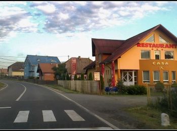 Percorso A piedi  - Călimănel - Vf. Rețițiș - Photo