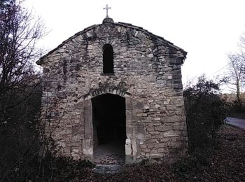 Tour Wandern Pernes-les-Fontaines - pernes 84  les terres mortes  - Photo