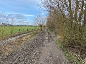 Tocht Stappen Diksmuide - Blankaart 24 km - Photo