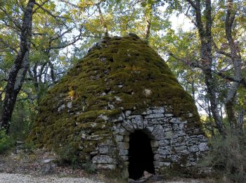 Excursión Senderismo Saignon - Saignon, Auribeau, Castellet & Rocher des Abeilles - Photo