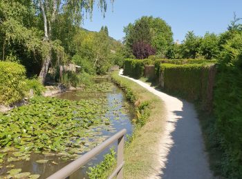 Tocht Stappen Saint-Rémy-lès-Chevreuse - Rumba à Saint remy - Photo