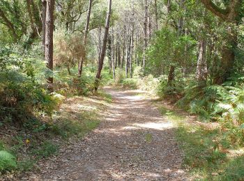 Trail Walking Seignosse - seignosse - Photo
