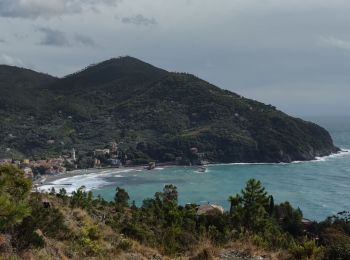 Excursión Senderismo Levanto - Levanto et sa coline  - Photo