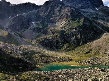 Tour Zu Fuß Valtournenche - Alta Via n. 1 della Valle d'Aosta - Tappa 10 - Photo