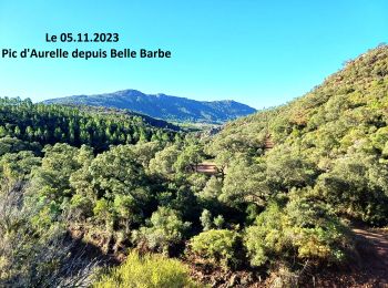 Tour Wandern Saint-Raphaël - Pic d'Aurelle depuis le Col Belle Barbe - Photo