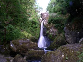 Tocht Te voet The Municipal District of Wicklow - Waterfall Walk - Photo