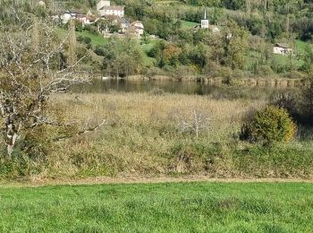 Tocht Wegfiets Yenne - circuit des vignes Yenne - Photo