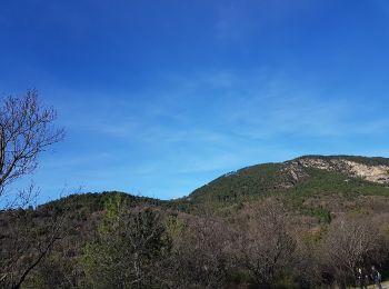 Tour Wandern Saint-Étienne-de-Gourgas - Forêt de Parlatges - Roc de l'Eglise - Photo