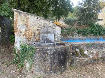 Percorso A piedi Lourmarin - Lourmarin - Cadenet - Lourmarin  - Photo