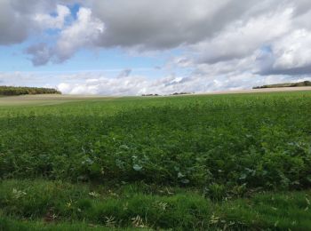 Tocht Stappen Marigny-le-Châtel - Marigny la chatel - Photo