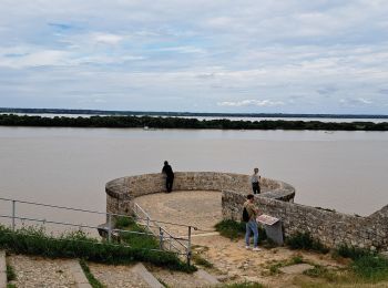 Trail Electric bike Bayon-sur-Gironde - bayon blaye - Photo