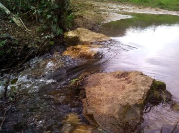 Tour Wandern Vergt-de-Biron - Biron 18km - Photo