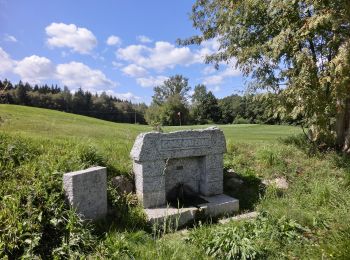 Percorso A piedi Tröstau - Wanderweg 10 Tröstau - Photo