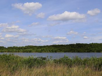 Tour Zu Fuß Ibbenbüren - Teutoschleife Heiliges Meer - Photo