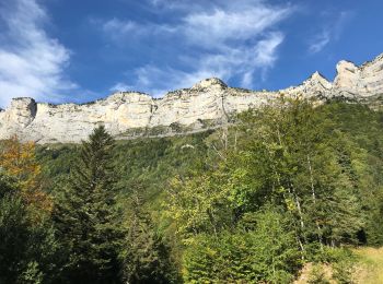 Tour Wandern Plateau-des-Petites-Roches - Piton de Bellefond - Photo