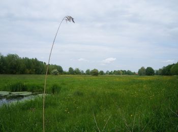 Percorso A piedi Sailly-sur-la-Lys - Chemin des Sûres - Photo