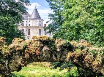 Percorso Marcia Le Mérévillois - Cressonnières et domaine départemental de Méréville - Photo