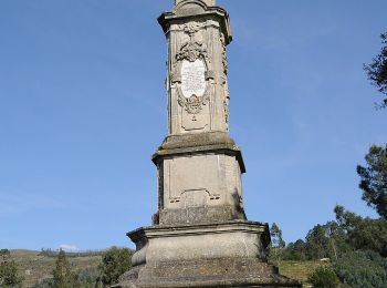 Tocht Te voet Este (São Pedro e São Mamede) - A procura da nascente do Rio Este - Photo