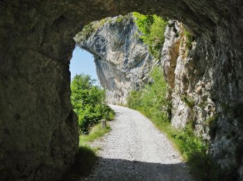 Percorso A piedi Tremosine sul Garda - Le Acque, Bocca di Fobbia - Photo