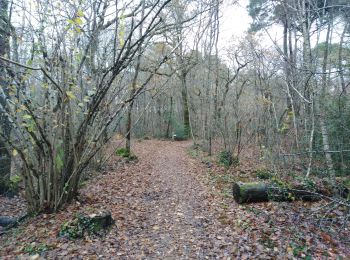 Trail Walking Pessac - Gazinet-Chemin  - Photo