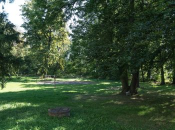 Percorso A piedi Muszkowice - Zielony Las Bukowy - Starczów, stacja kolejowa - Photo