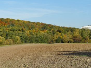 Tocht Te voet Onbekend - DE-SAV Rotes Kreuz, Doggenburg - Glemseck - Möhringen - Ruit - ? - Photo