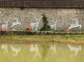 Tocht Stappen Espédaillac - Grezes Espedaillac Mas de l’artillou  - Photo