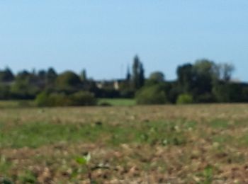 Tocht Stappen Tuffalun - Ambillou-château - Photo