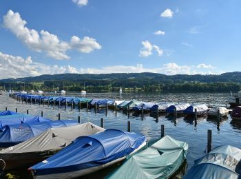 Trail On foot Uster - Niederuster - Oberuster - Photo