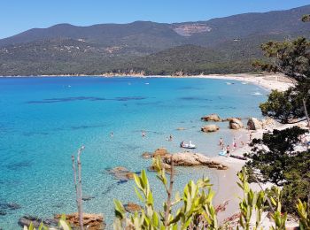 Percorso Marcia Serra-di-Ferro - Corse - Serra di ferro - boucle par plage de Cupabia - Photo