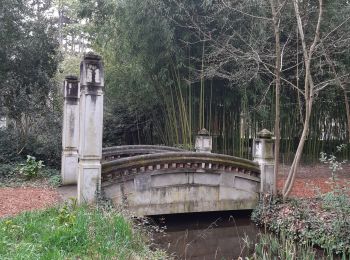 Tour Wandern Saint-Maur-des-Fossés - st maur daumesnik - Photo