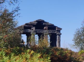 Tocht Stappen Grandfontaine - 2020-09-20 Marche Donon Petit Donon Casemates - Photo