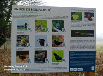 Excursión Senderismo Hannut - moxhe reco 12 24 - Photo