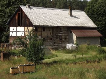 Randonnée A pied Bělá pod Bezdězem - Okružní Bělá p. B. - Valdštejnsko - Photo