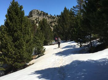 Randonnée Marche Romeyer - tete du Pison - Photo