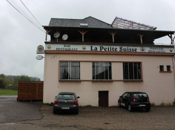 Randonnée A pied Éguelshardt - Losange jaune - Photo