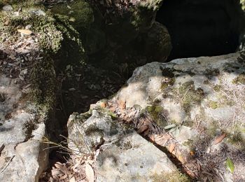 Excursión Senderismo Belgentier - Belgentier - le Pas GR9-le ragage du tank - Photo