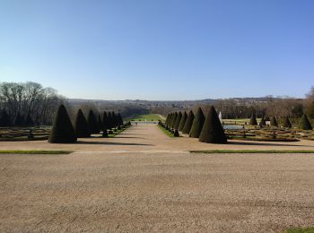 Randonnée Marche Antony - La vallée aux loups depuis Antony - Photo