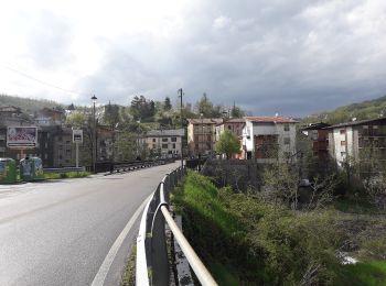 Percorso A piedi Ferriere - Ferriere - Perotti - Photo