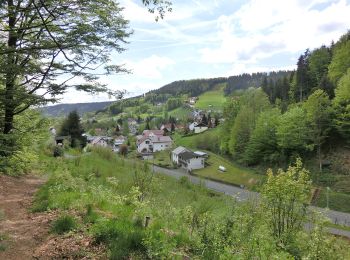 Trail On foot Warmensteinach - Warmensteinach Rundwanderweg Nr. 3 - Photo