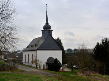 Tour Zu Fuß Lykershausen - Rheinsteig-Zuweg Prath - Photo