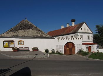 Excursión A pie Gemeinde Zwettl-Niederösterreich - 5-Dörfer-Weg 57 - Photo