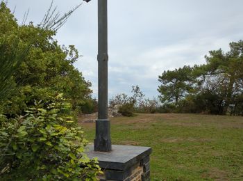 Excursión Senderismo Guémené-Penfao - 234 - rando de l'étang du rocher Guemene penfao  - Photo