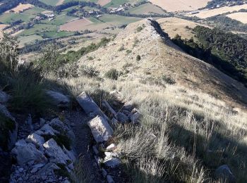 Tocht Stappen Gap - Le Huchon et pic de Charance - Photo