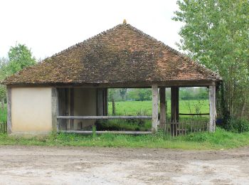 Randonnée A pied Villers-Canivet - Circuit de Torp - Photo