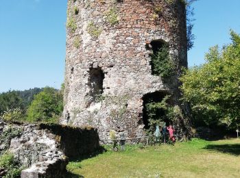 Excursión Senderismo Les Ancizes-Comps - Chartreuse Ste Marie - Photo