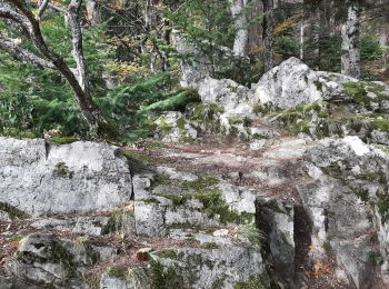 Trail Walking Rouffach - 2023 10 12 Boenlesgrab - Photo
