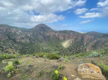 Excursión Senderismo Santa Brígida - Cratère de Bandama (Gran Canaria) - Photo