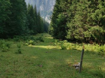 Tour Wandern Morzine - Hauts Fotrs - Photo